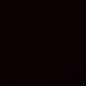 Meet your Posher, Bailey